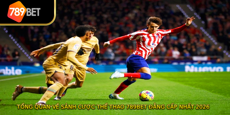 Tổng quan về sảnh cược thể thao 789BET đẳng cấp nhất 2026